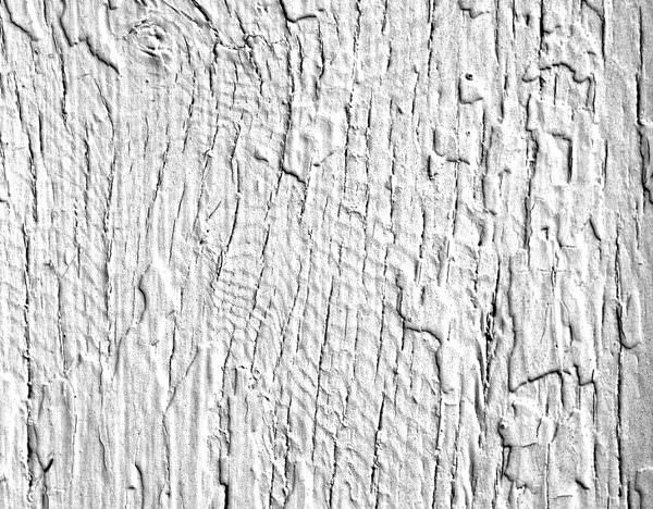 White Painted Wood Texture