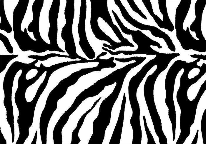 zebra pattern