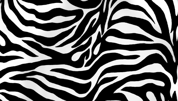zebra pattern fabric for seating
