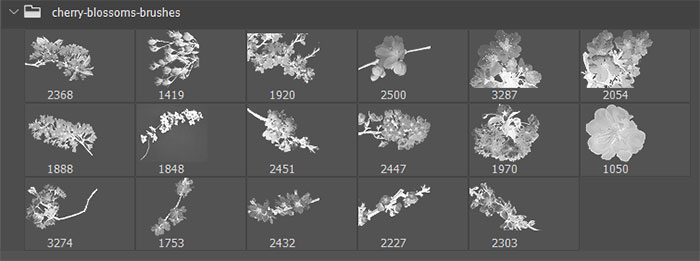 17 Decorative Cherry Blossoms Floral Photoshop Brushes