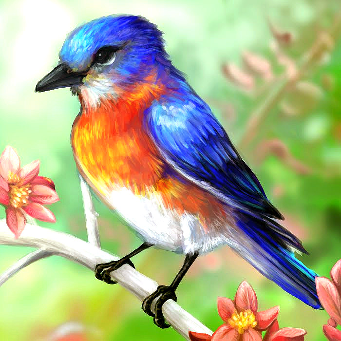 15+ Bird Drawings - JPG Download