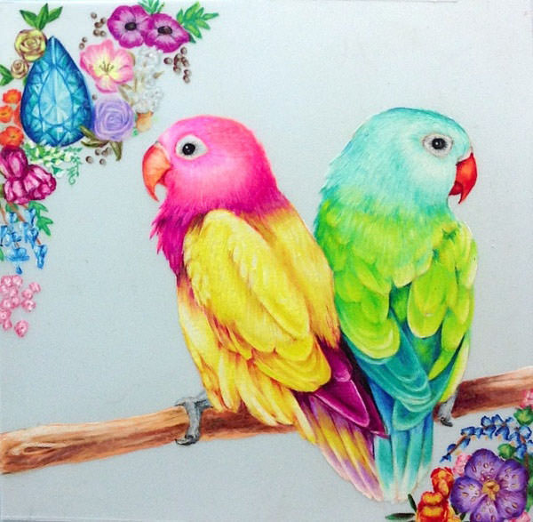 Parrot Bird Drawing