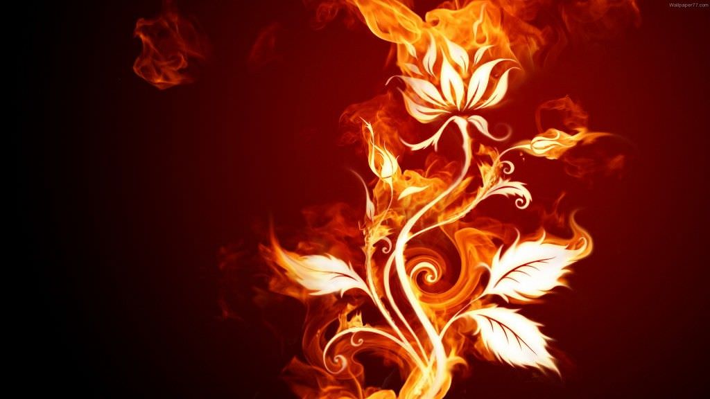 Nature Fire HD Wallpaper