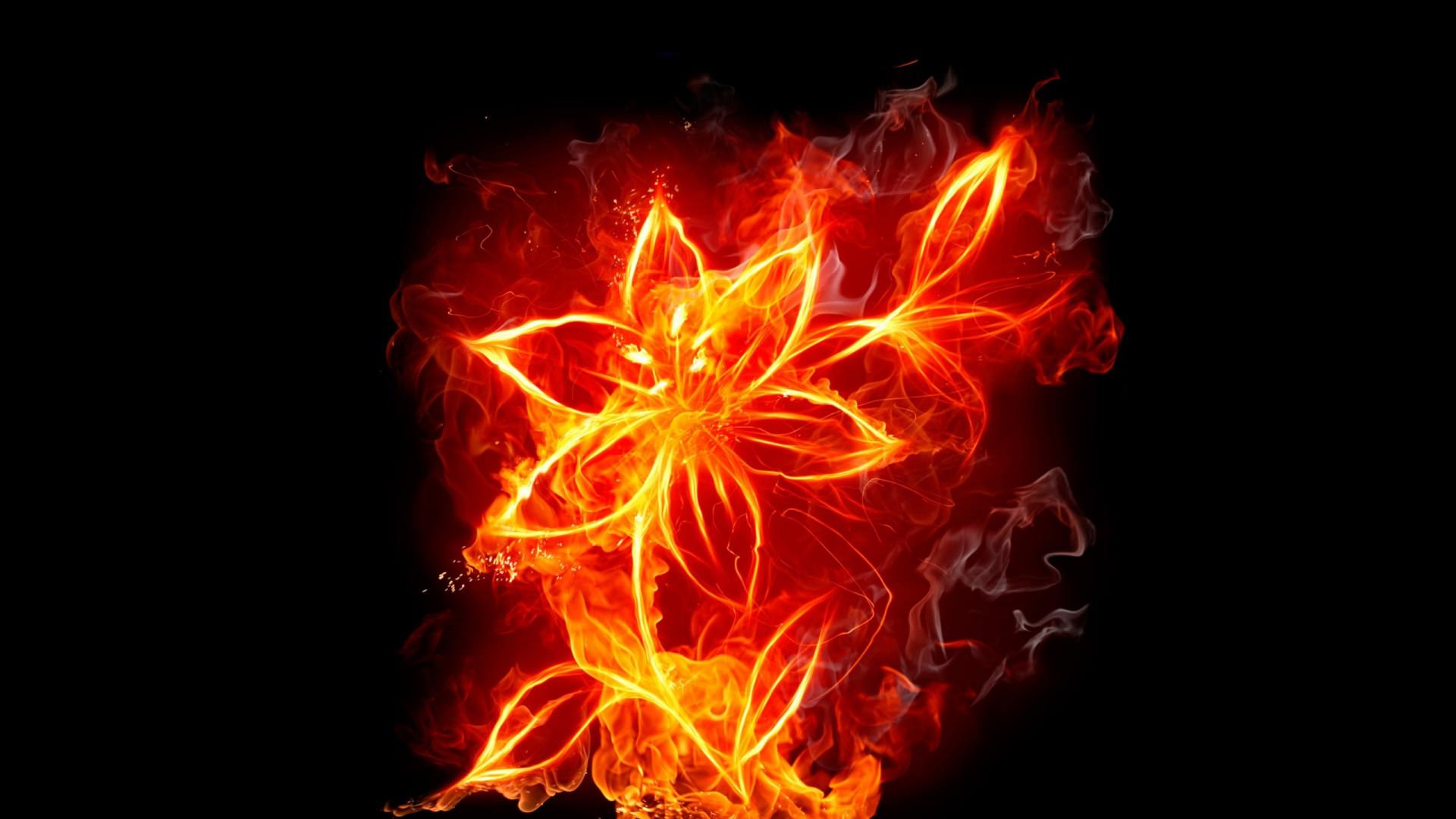 Flower on Fire Wallpaper