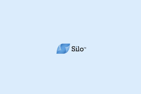 Silo Blue Logo Design