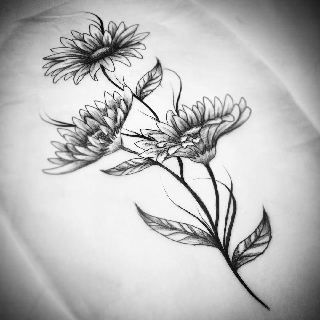 Daisies-Flower-Drawing