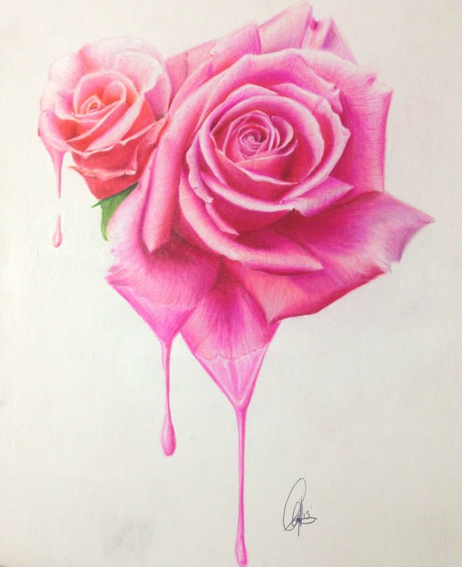 Amazing Flower Drawing