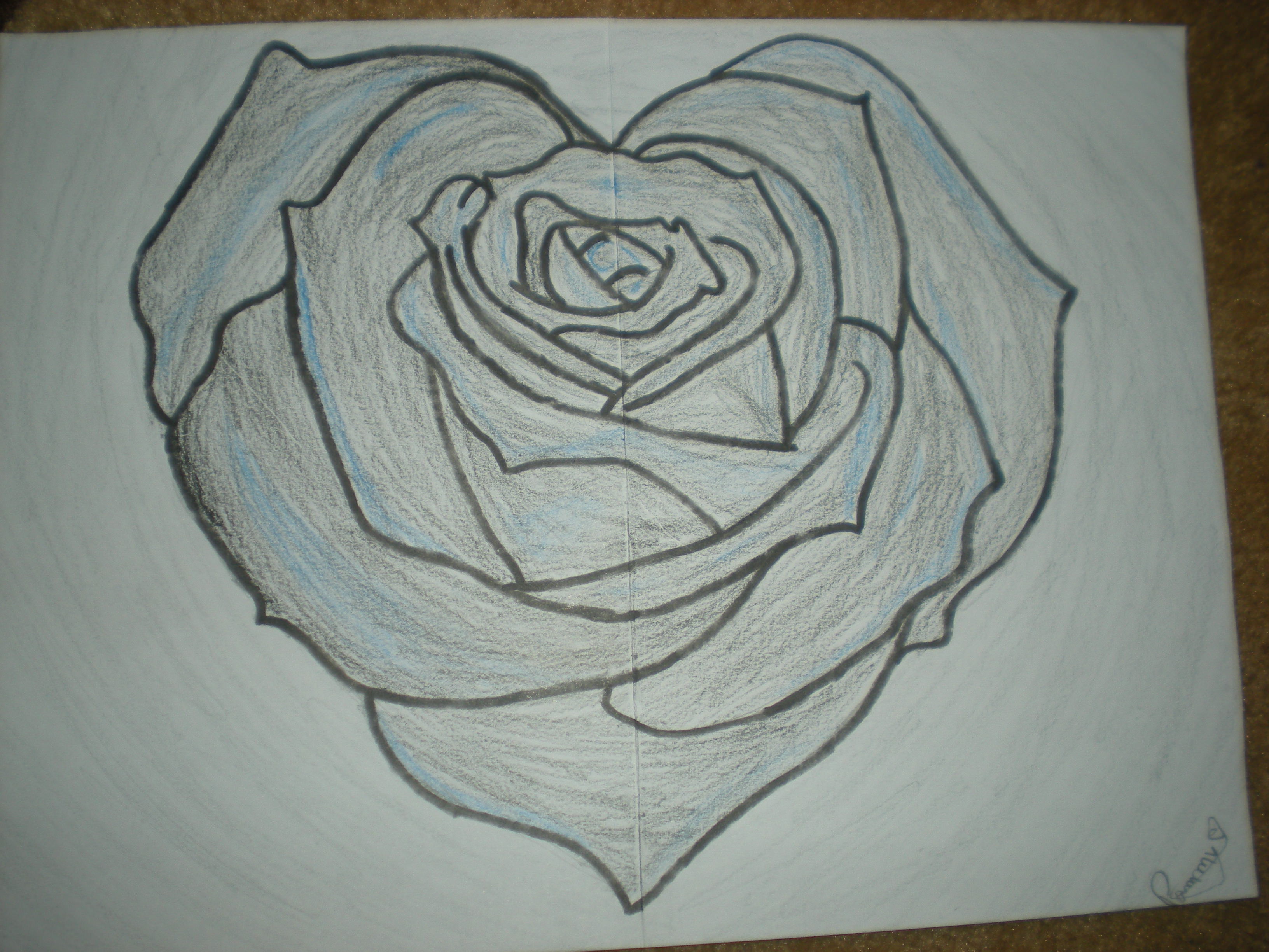 rose pencil sketch