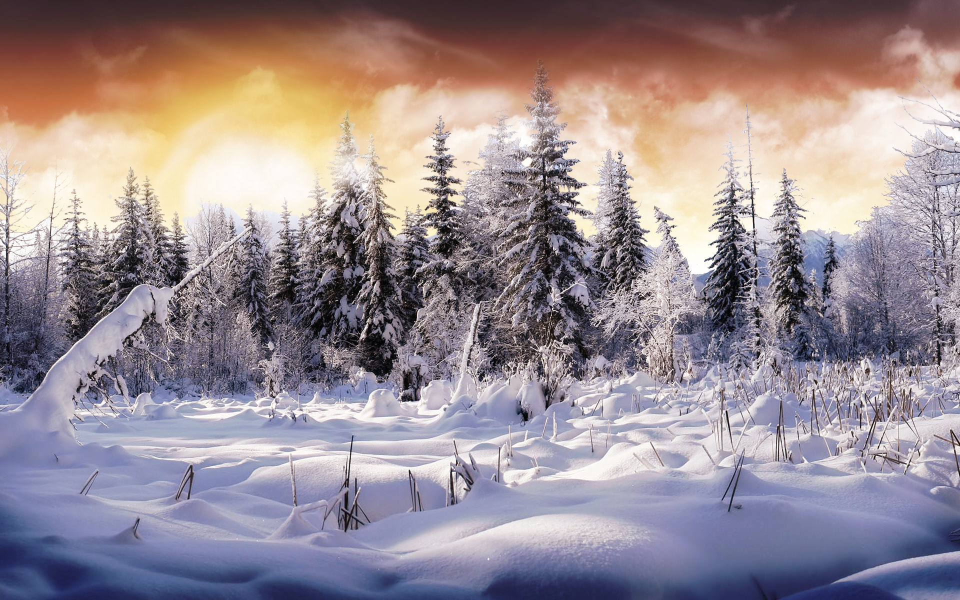 Awesome Winter Wallpaper