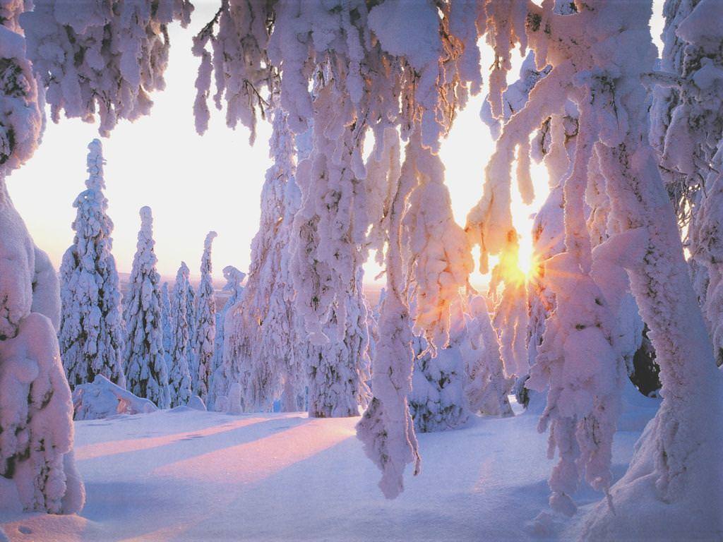 Beautiful Winter Sunrise Wallpaper