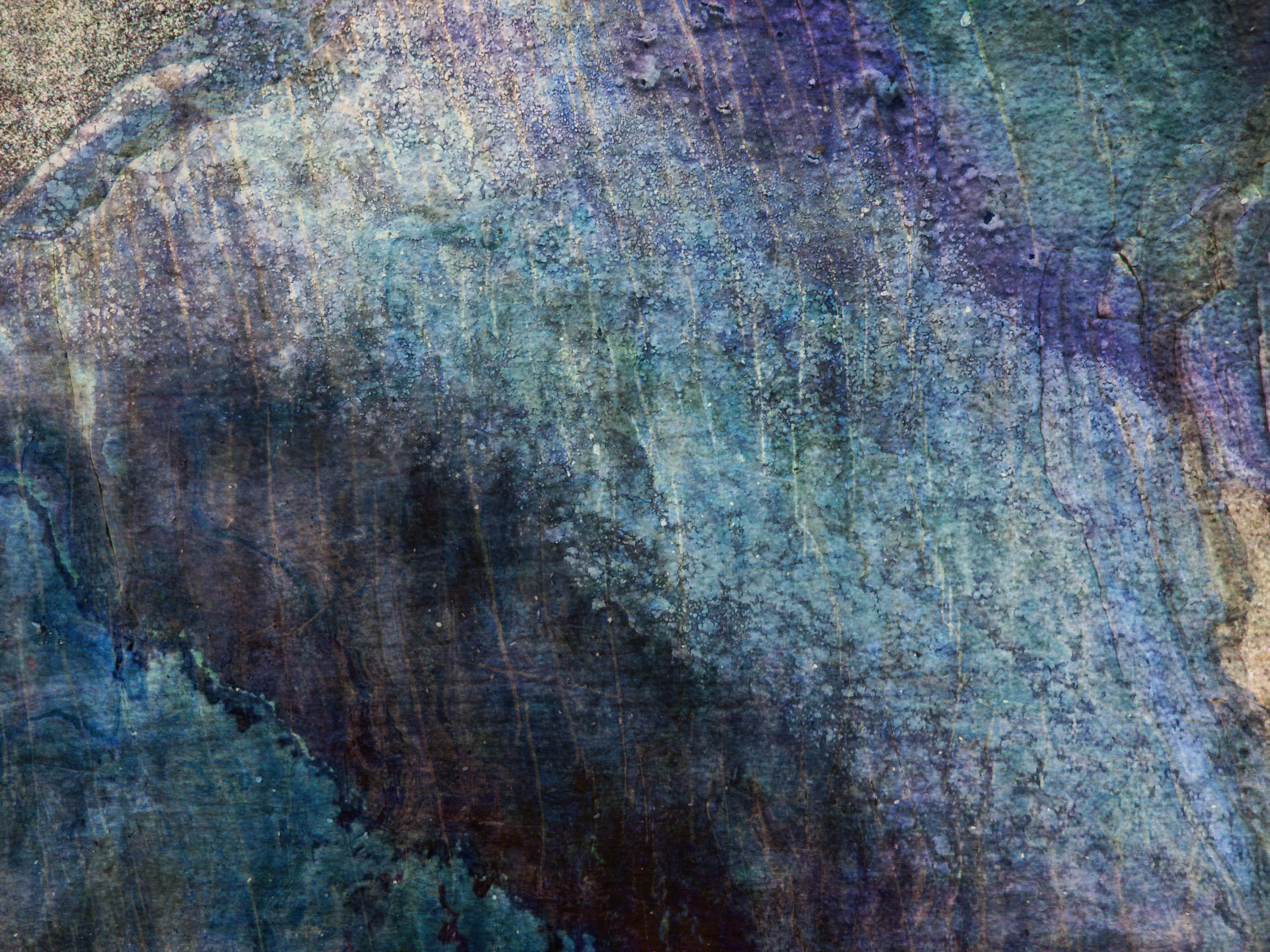 beautiful Color Grunge Texture