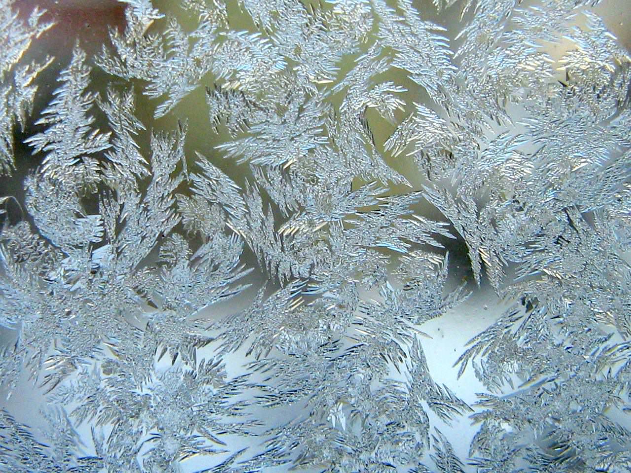 Frost Window Texture