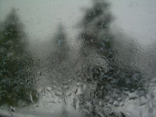 Winter Frost On A Window