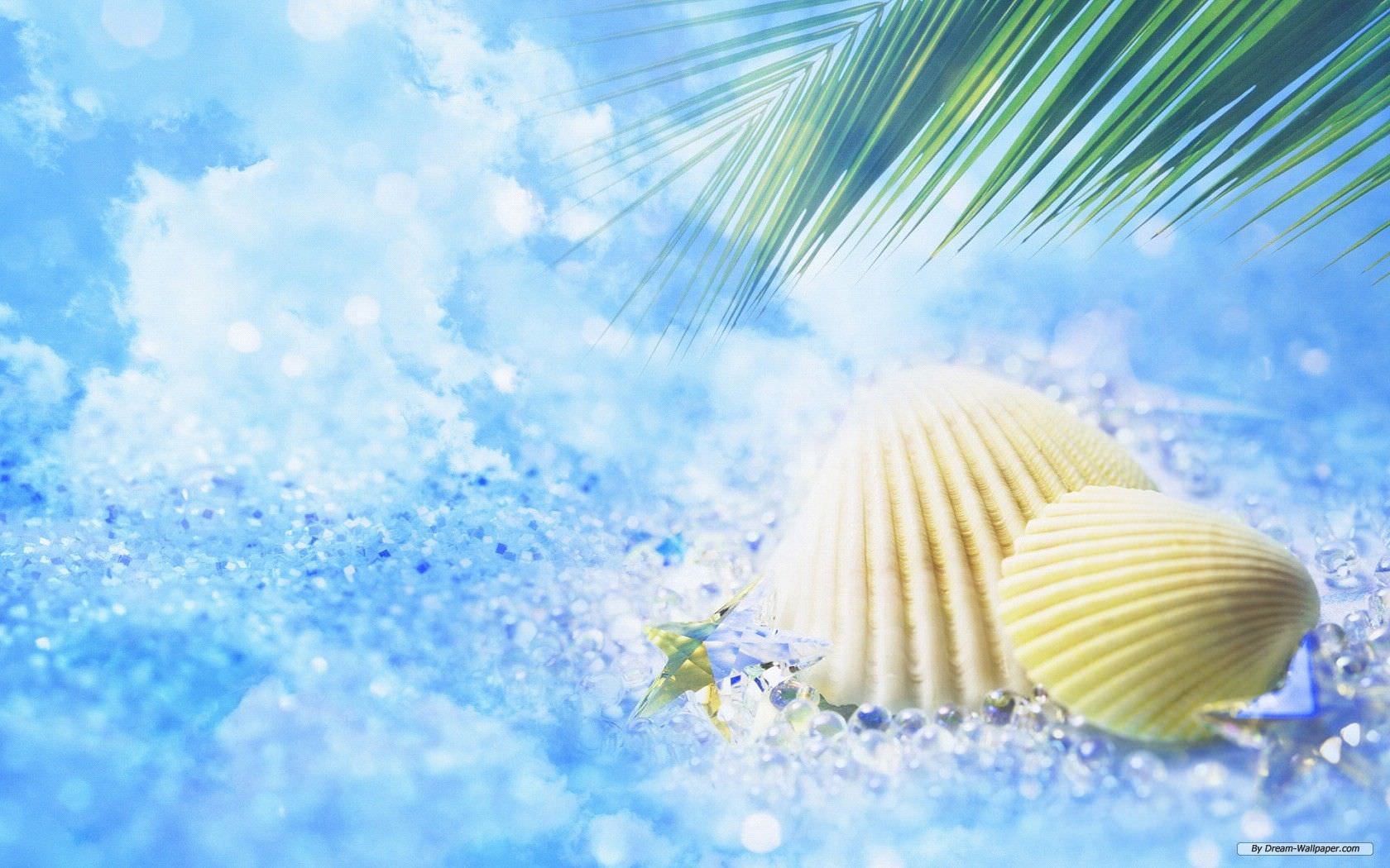 Sea Shells Summer Wallpaper