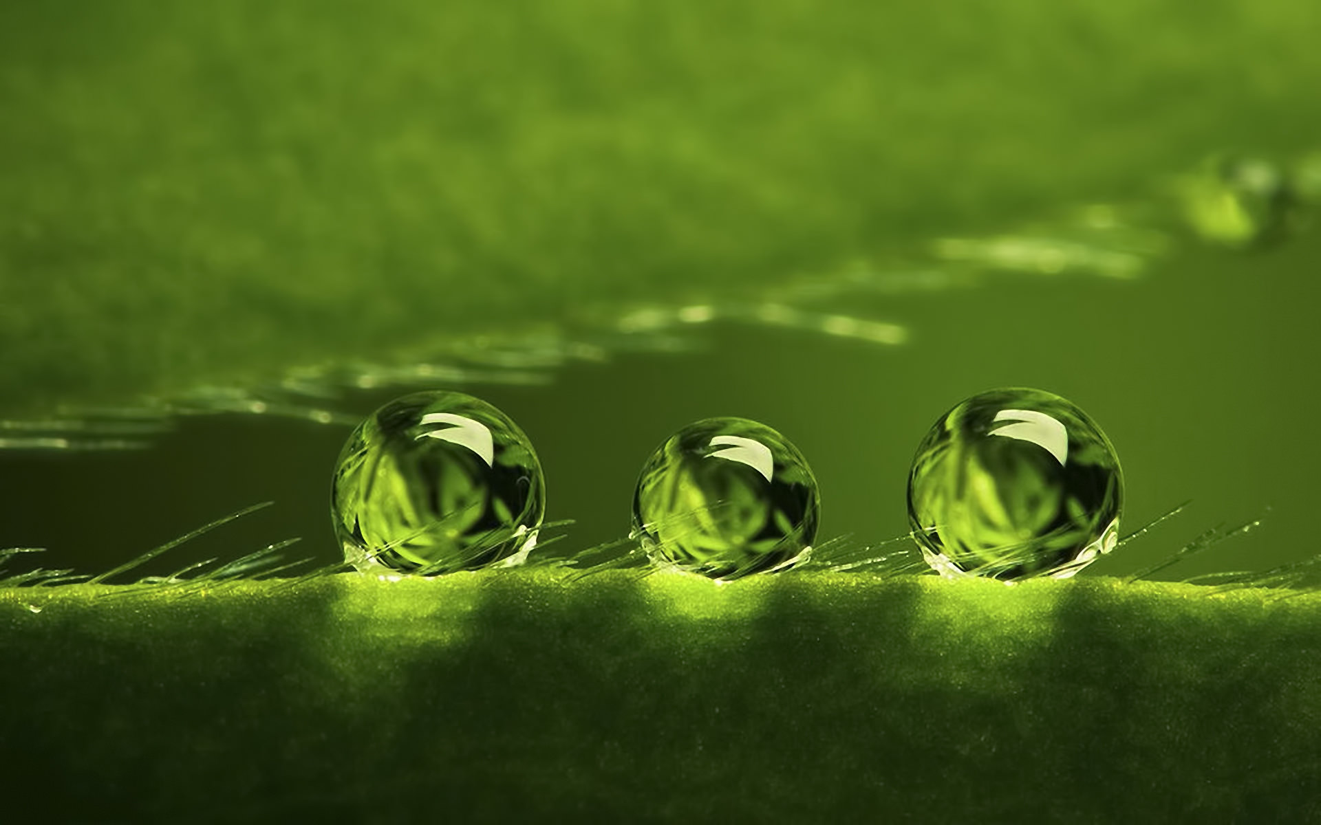 Green Bubbles HD Wallpaper