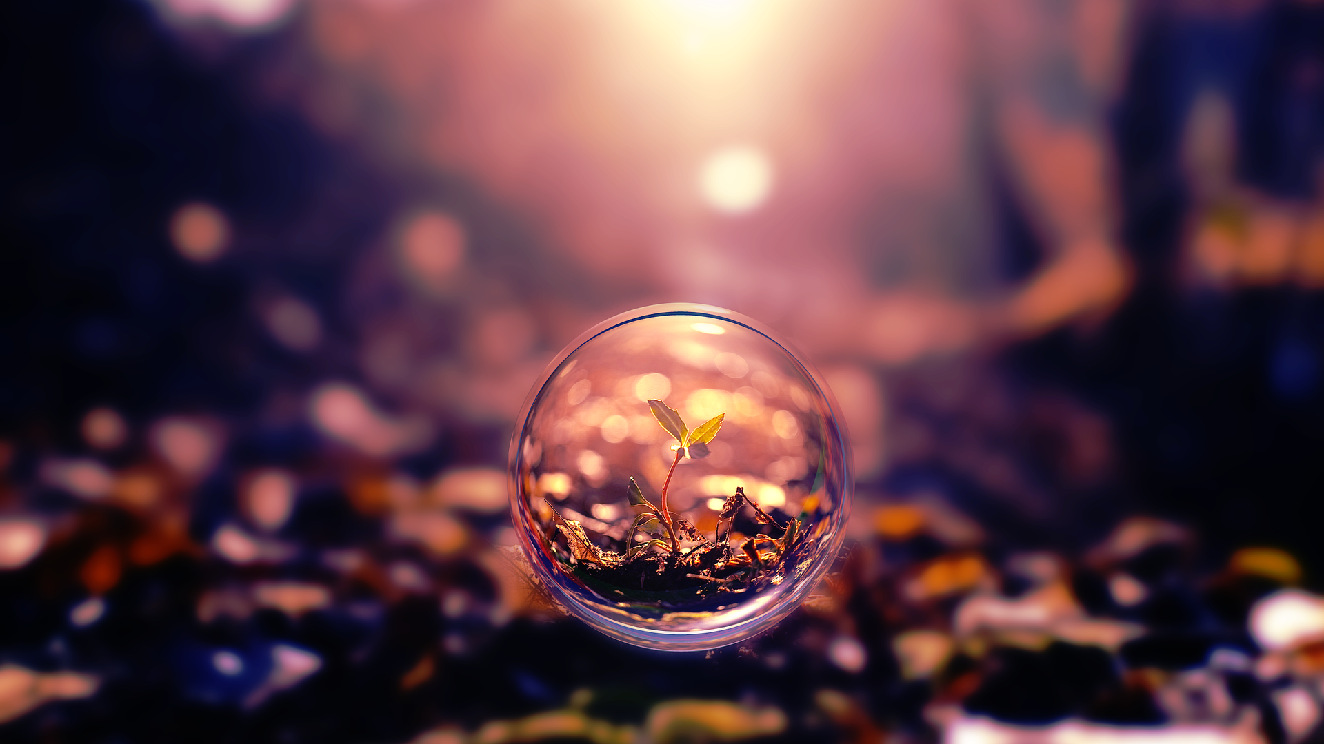 20  Bubble Desktop Wallpapers, Backgrounds, Images  FreeCreatives