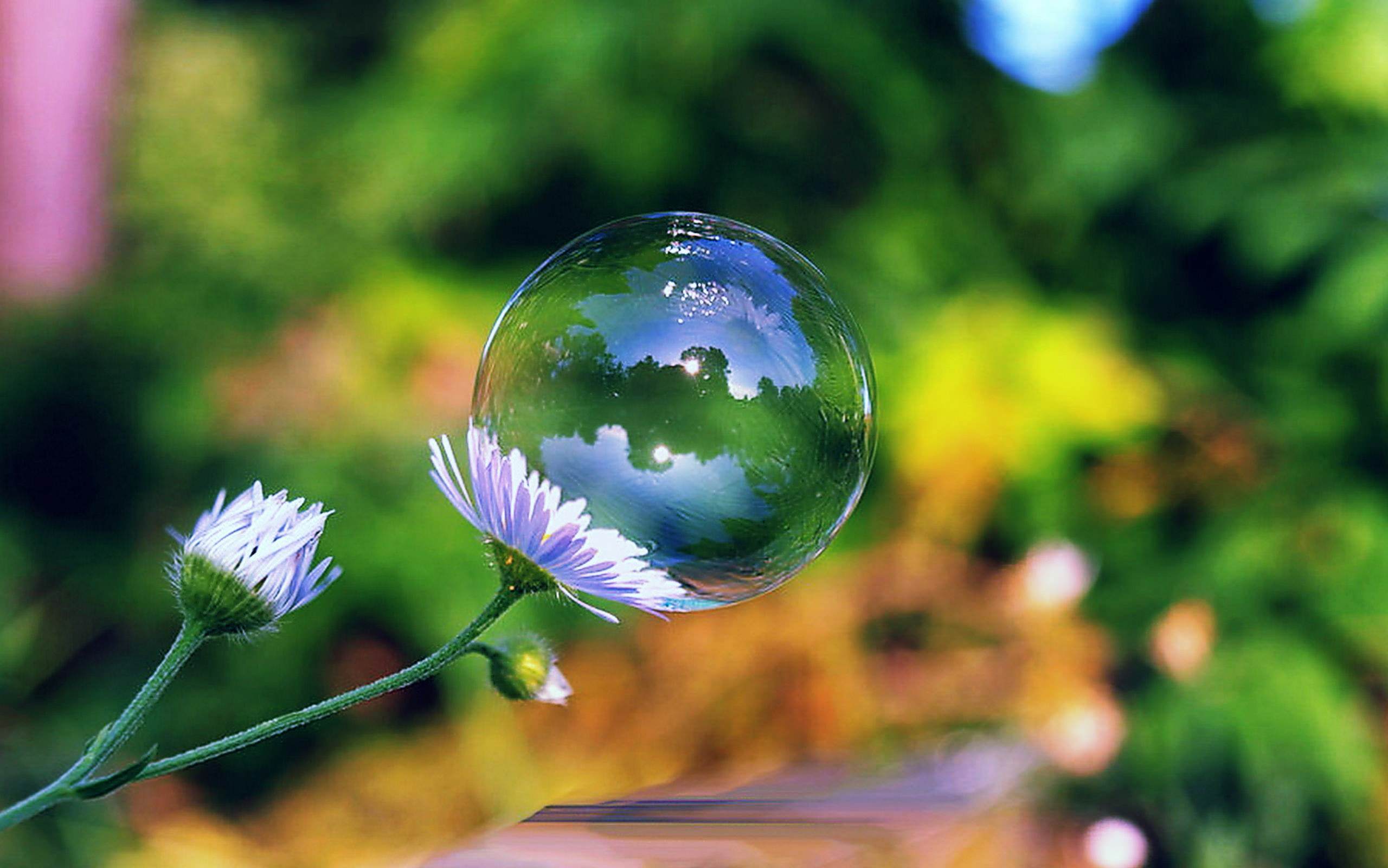 FREE 19 Bubble Desktop Wallpapers In PSD Vector EPS
