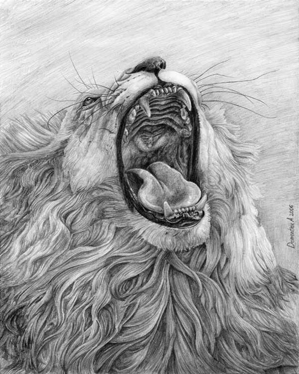 Roaring Lion Drawing