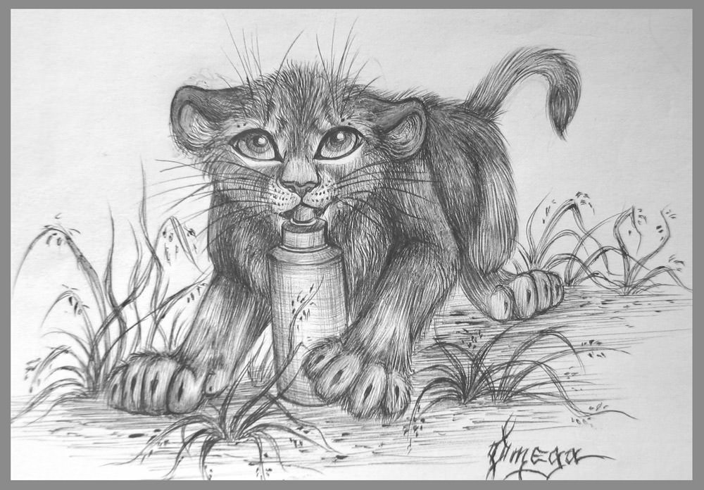 The Lion Cub Drawing