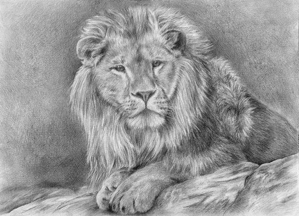 The Lion King Drawing