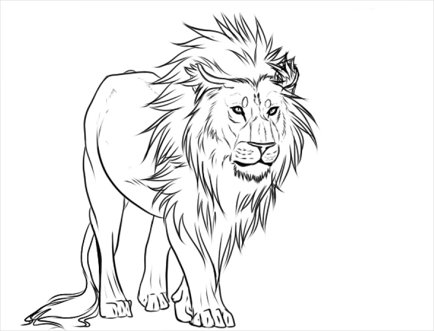 FREE 17 Wonderful Lion Drawings in AI