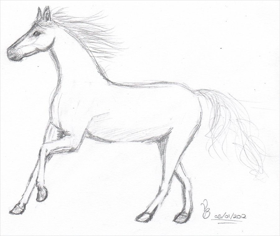 girl on horse sketch