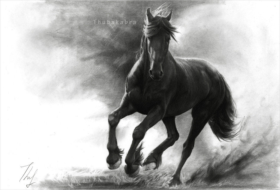 FREE 12+ Horse Drawings in AI