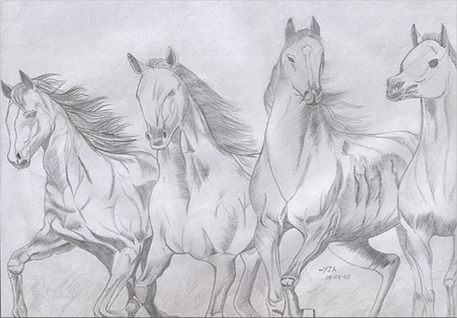 running horse sketch