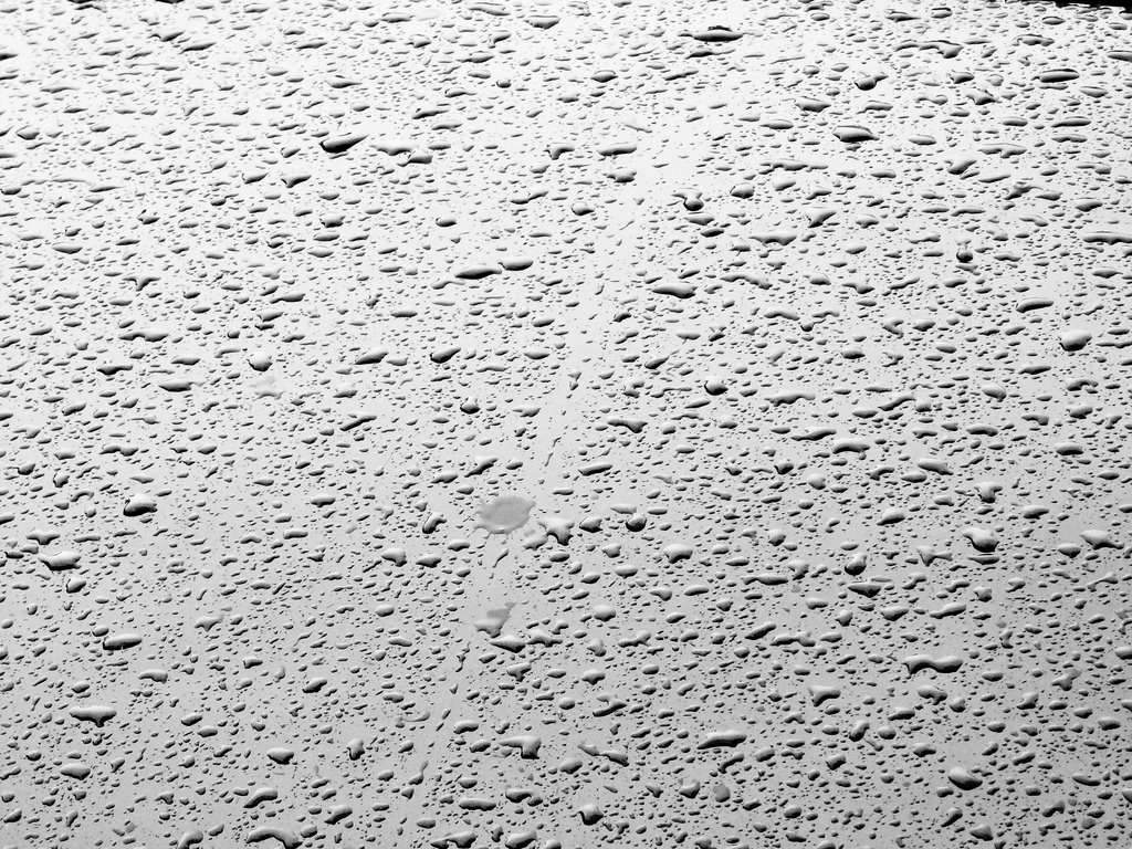 Download Free Rain Drops Texture