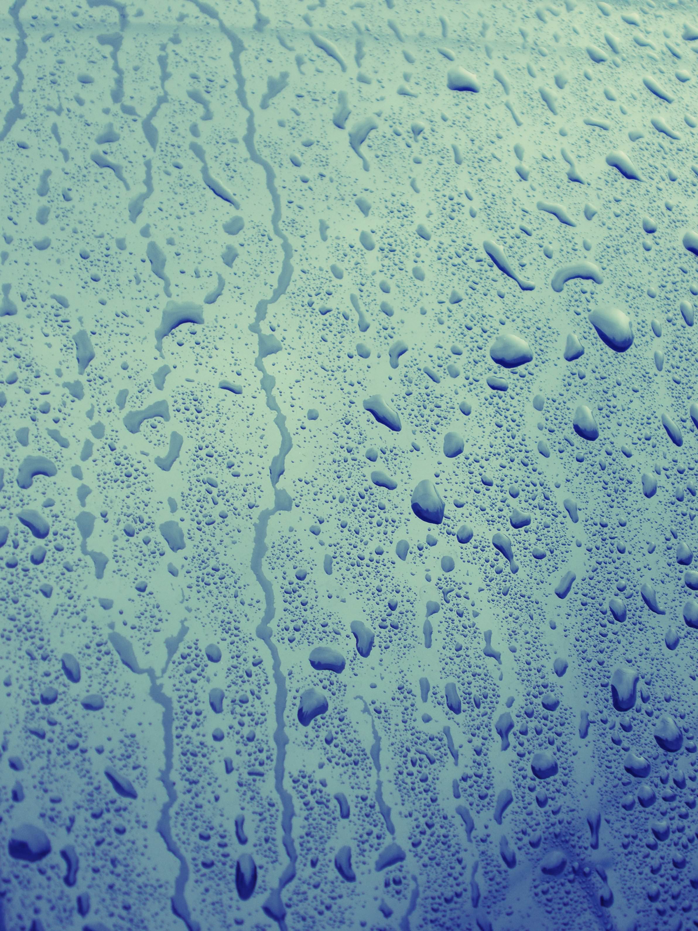 Free Dripping Rain Texture