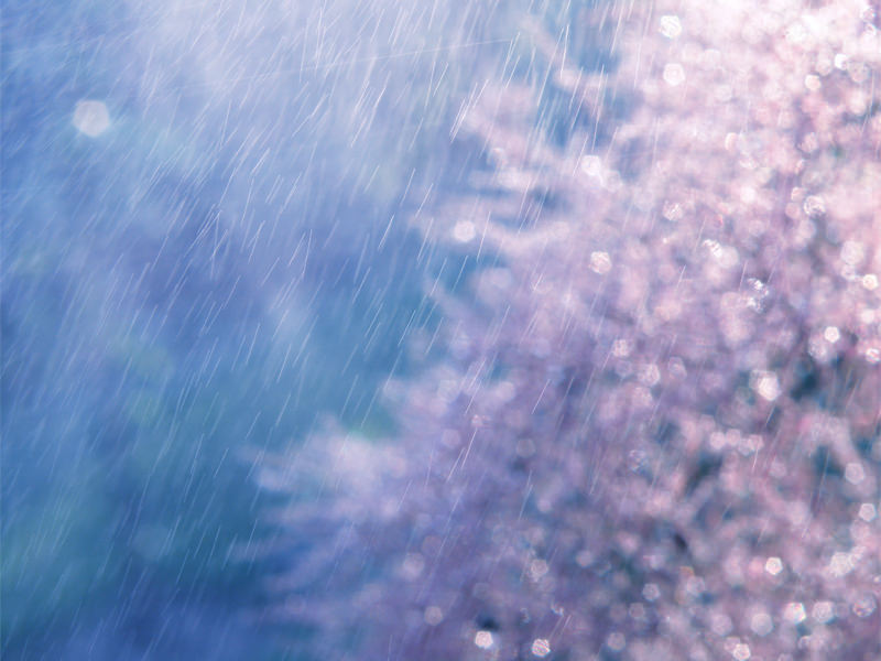 Pastel Dream Bokeh Stock Rain Texture