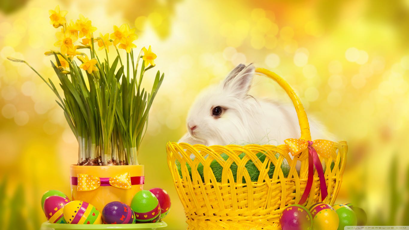 Free Happy Easter Bunny Wallpaper