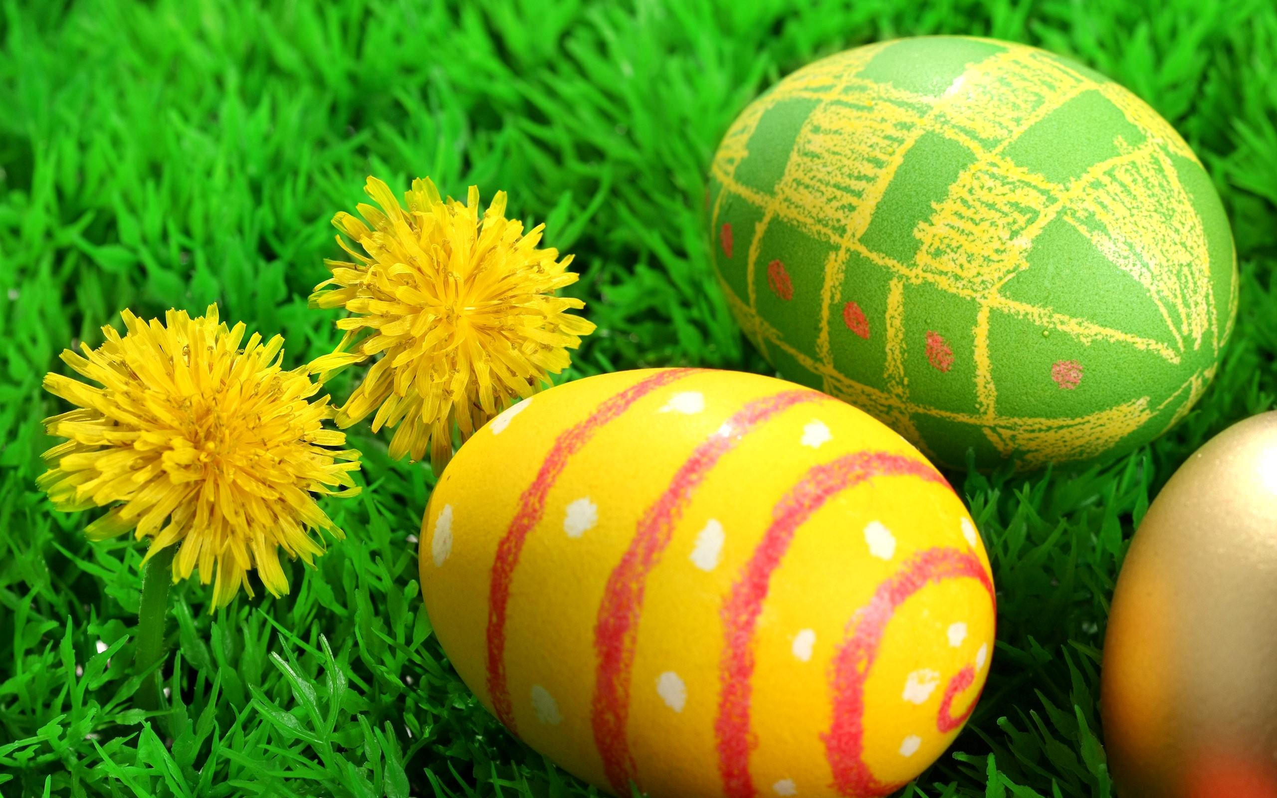 Cute Easter Eggs Wallpaper