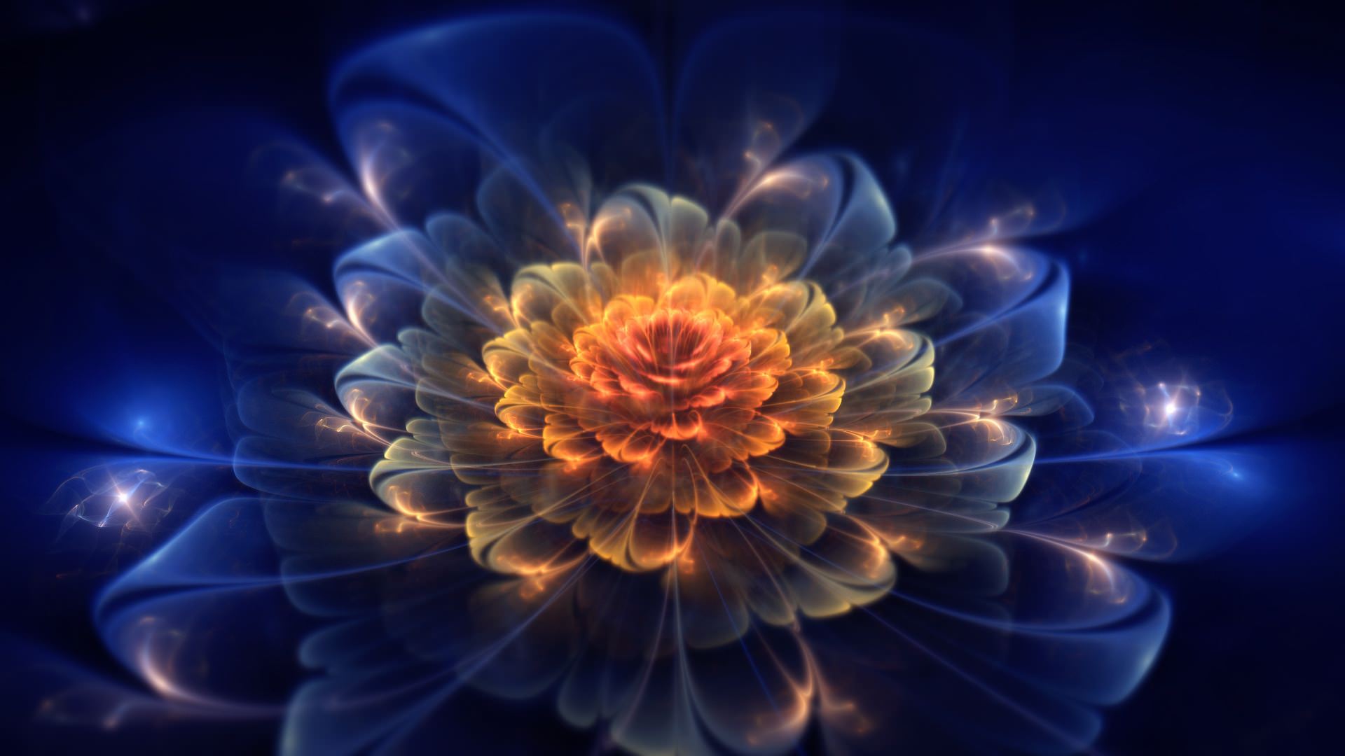 Fractal Flower Dark Light Wallpaper