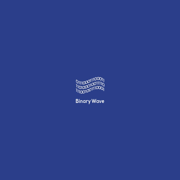 Binary Waves Logo