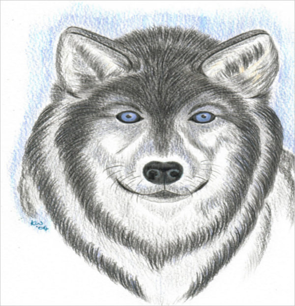 FREE 21+ Wolf Drawings in AI