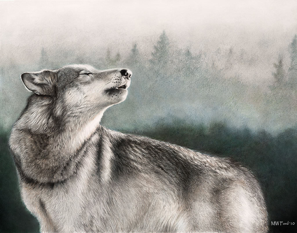 FREE 20+ Wolf Drawings in AI