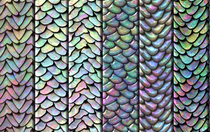 how-to-draw-fish-scales-in-illustrator