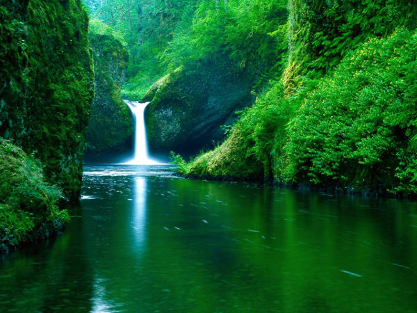 Amazing Waterfall in Forest Wallpaper