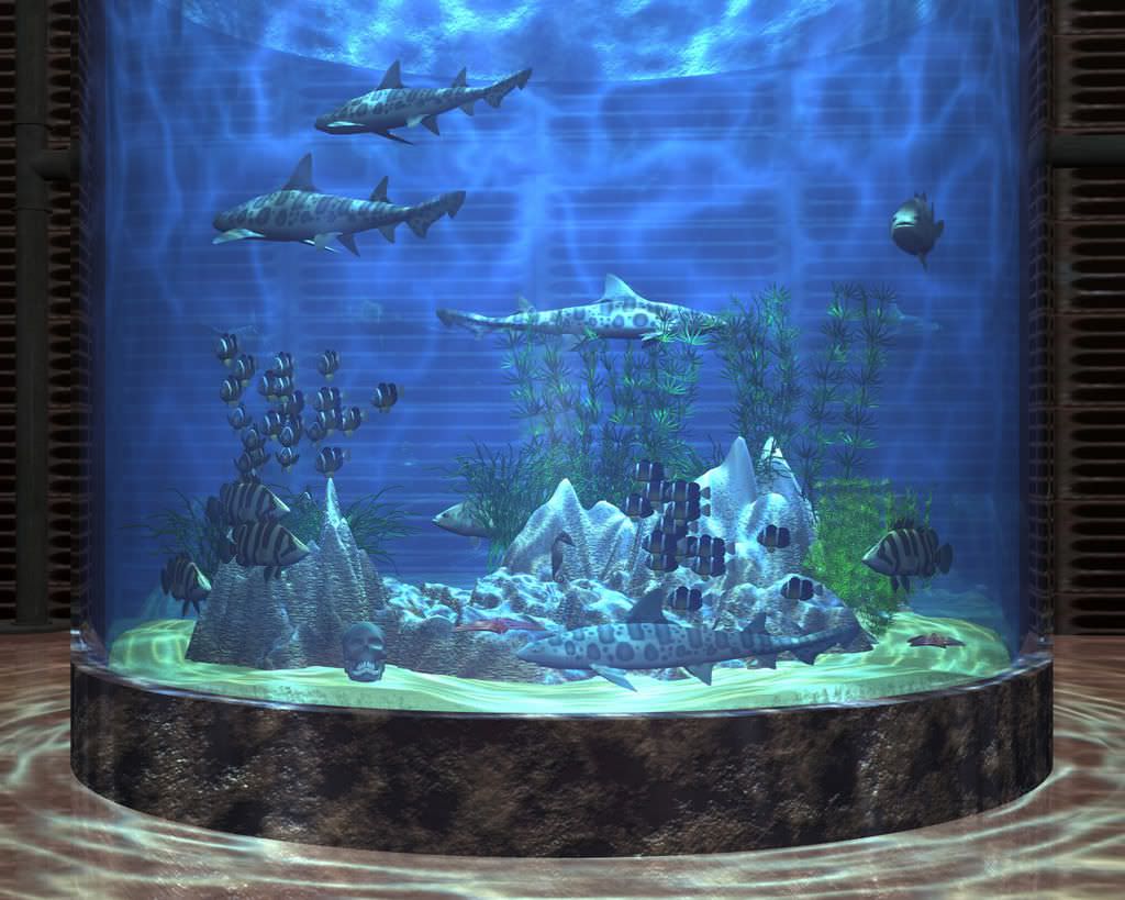  Aquarium Background For Desktop