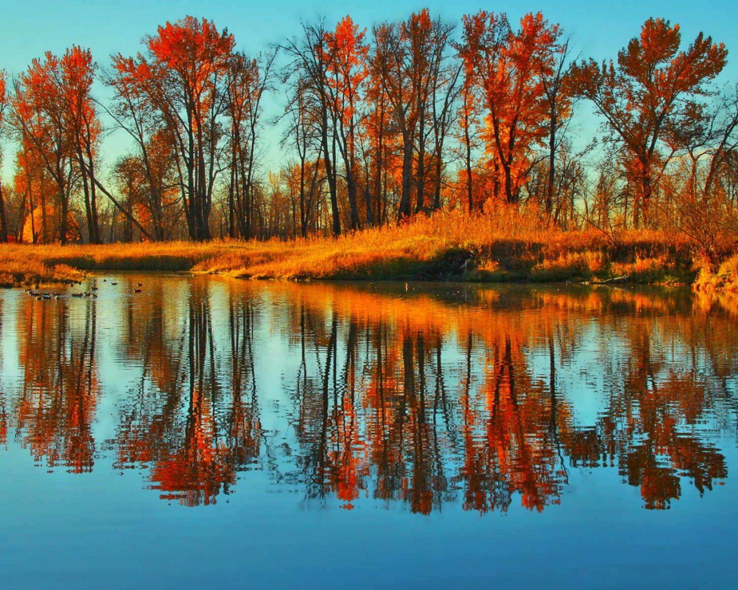 Autumn Blue Bow River Wallpaper