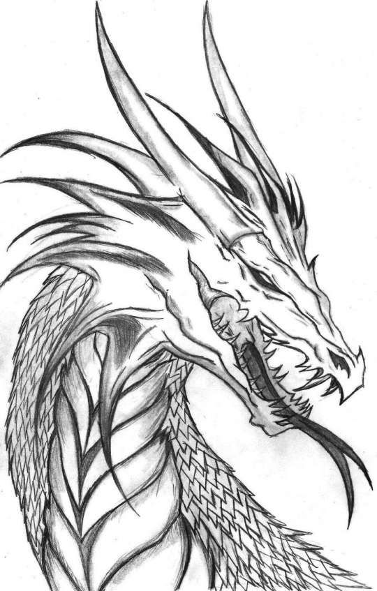 Awesome Dragon Drawing