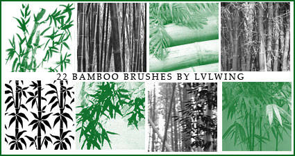 Bamboo Brushes Free Download