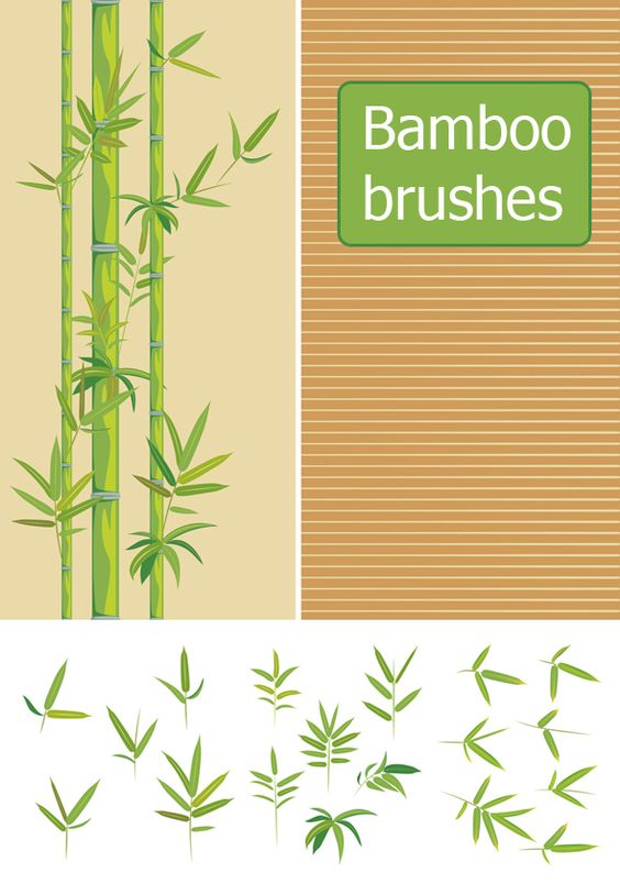 Bamboo Brushes for Photoshop Free Download