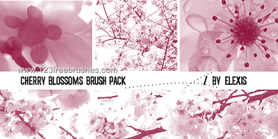 Cherry Blossom Free Photoshop Brush Download