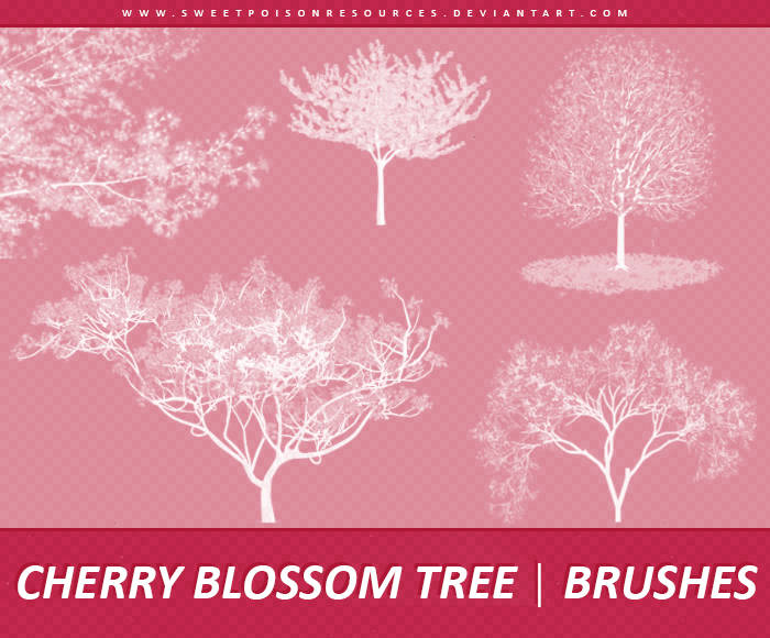 Cherry Blossom Tree Brushes