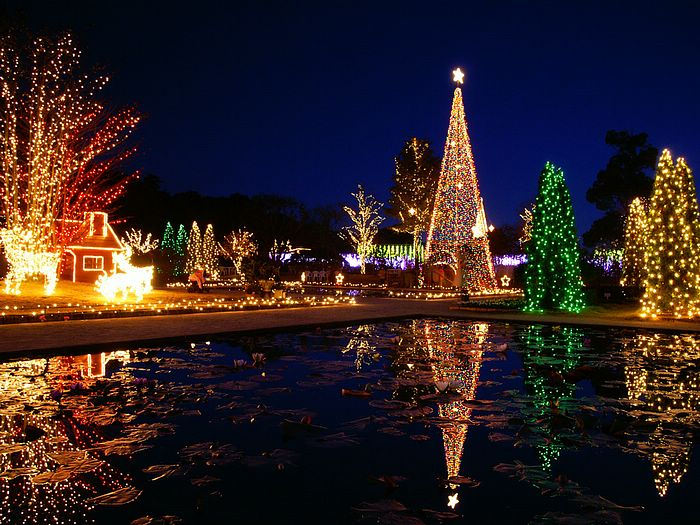 Christmas Twinkle Lights Photography