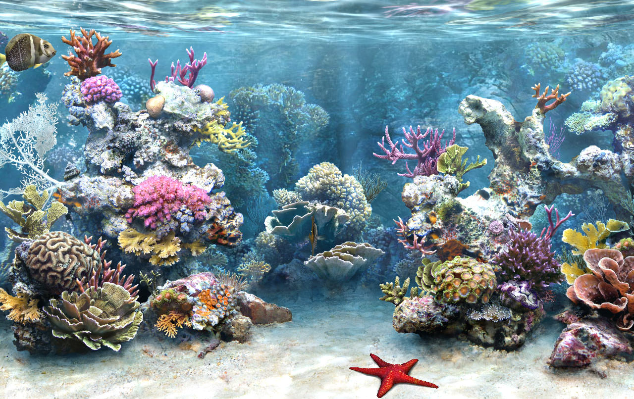 Colorful Aquarium Background