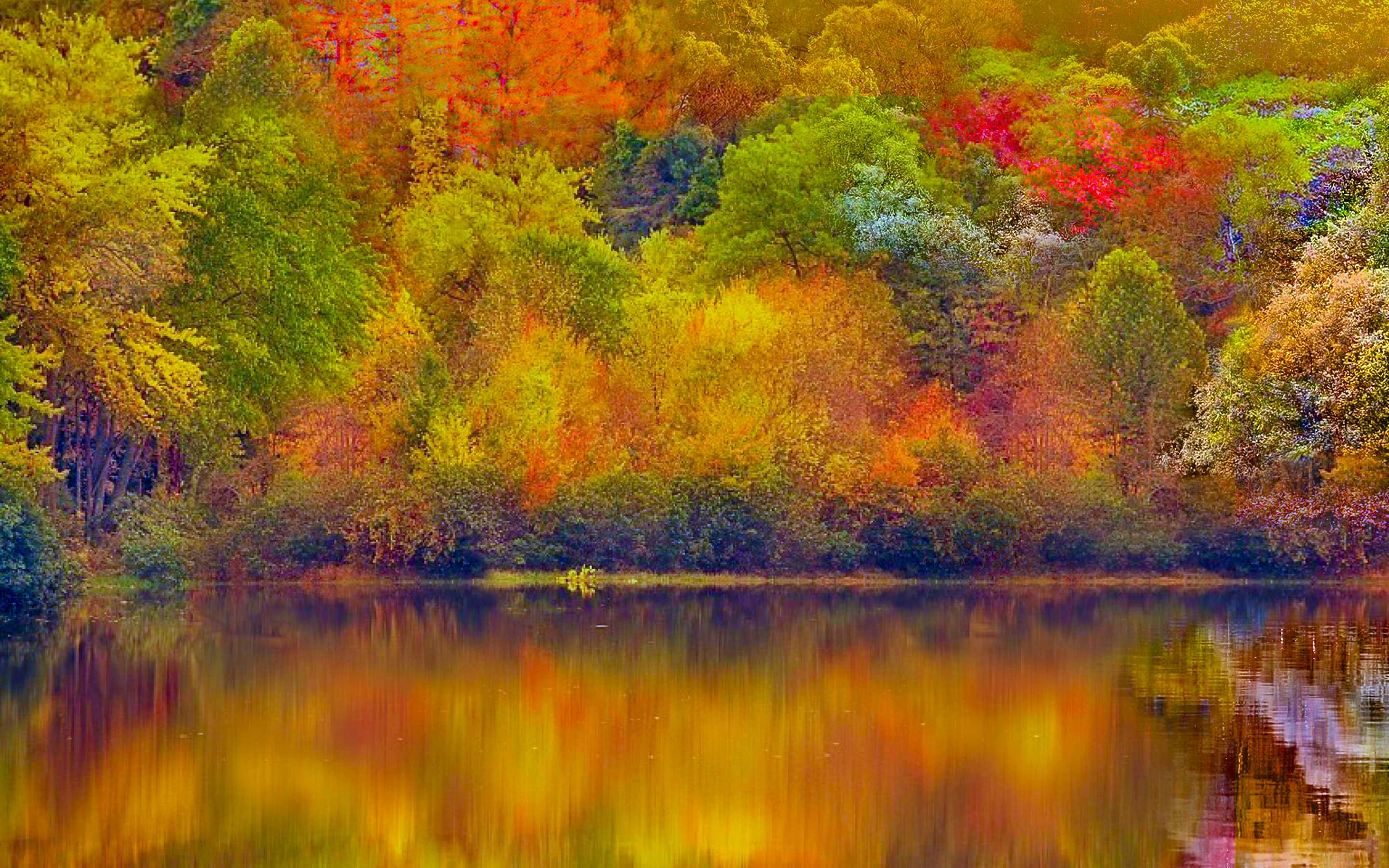 Colorful Autumn Season Wallpaper