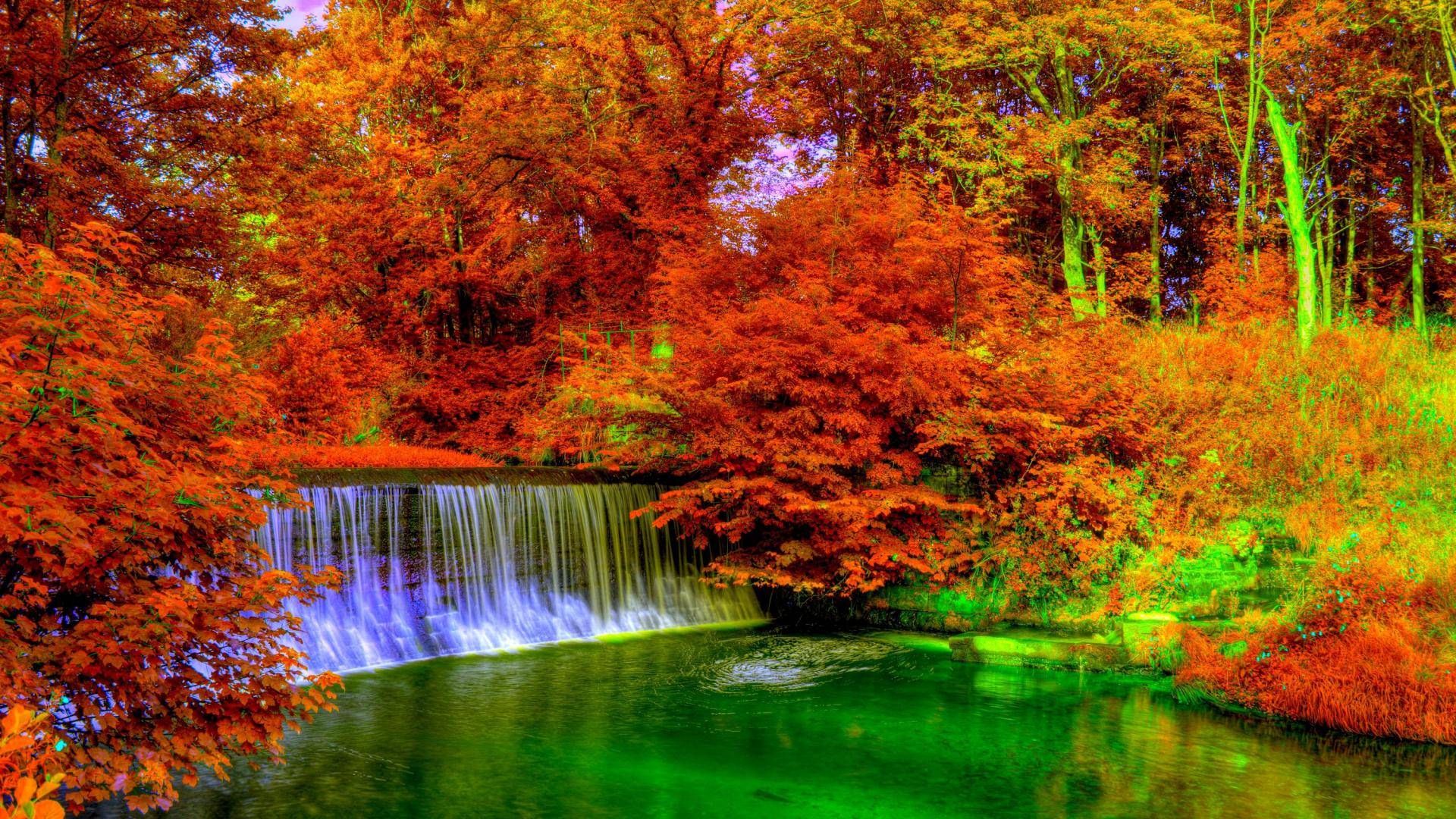 Colorful Autumn Wallpaper